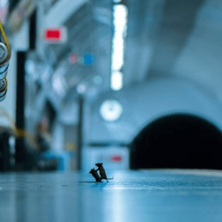 STF libera video polemico com comovente desabafo do presidente