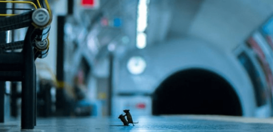 STF libera video polemico com comovente desabafo do presidente