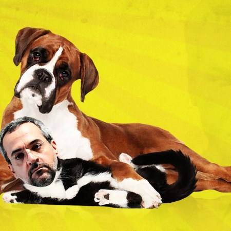 Cachorrinha Capitu assumirá o MEC