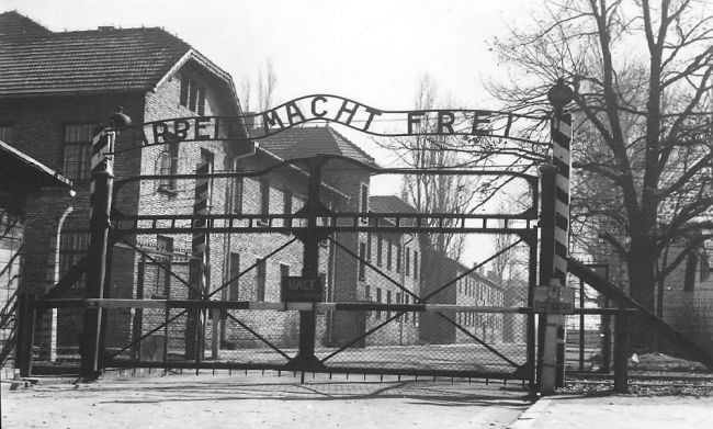 20080713_1496598567_bramaoHuCn6impHCVqcKHZpY